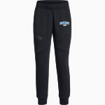 SKYLINE HIGH SCHOOL THUNDERBIRDS <span class="pdp-name-mascot">SKYLINE THUNDERBIRDS</span> UA Women's Unstoppable Fleece Joggers Front Thumbnail