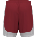 SAINT JOHNS HIGH SCHOOL REDSKINS <span class="pdp-name-mascot">SAINT JOHNS REDSKINS</span> UA Men's Tech Vent 7" Shorts Back Thumbnail