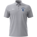 Legacy Eagles <span class="pdp-name-mascot">Legacy Charter Eagles</span> UA Men's Drive Team Stripe Polo Front Thumbnail