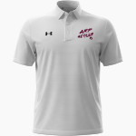 ARP HIGH SCHOOL TIGERS <span class="pdp-name-mascot">ARP TIGERS</span> UA Men's Drive Team Stripe Polo Front Thumbnail
