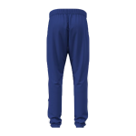 Carpenter Cowboys <span class="pdp-name-mascot">Carpenter Cowboys</span> UA Men's Team Knit Pant Back Thumbnail