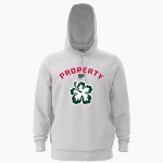APIS Hawks <span class="pdp-name-mascot">Asia Pacific International GreenHawks</span> UA Mens Team Icon Fleece Hoodie Front Thumbnail