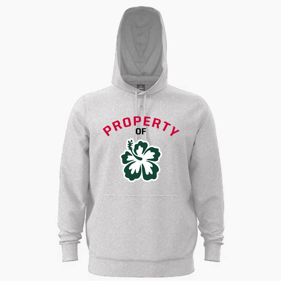 APIS Hawks <span class="pdp-name-mascot">Asia Pacific International GreenHawks</span> UA Mens Team Icon Fleece Hoodie