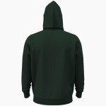 PARKDALE HIGH SCHOOL PANTHERS UA Men's Team Icon Fleece Hoodie Back Thumbnail