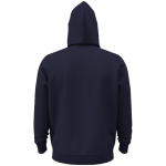 BROADALBIN-PERTH HIGH SCHOOL PATRIOTS <span class="pdp-name-mascot">BROADALBIN - PERTH PATRIOTS</span> UA Men's Icon Fleece Hoodie Back Thumbnail