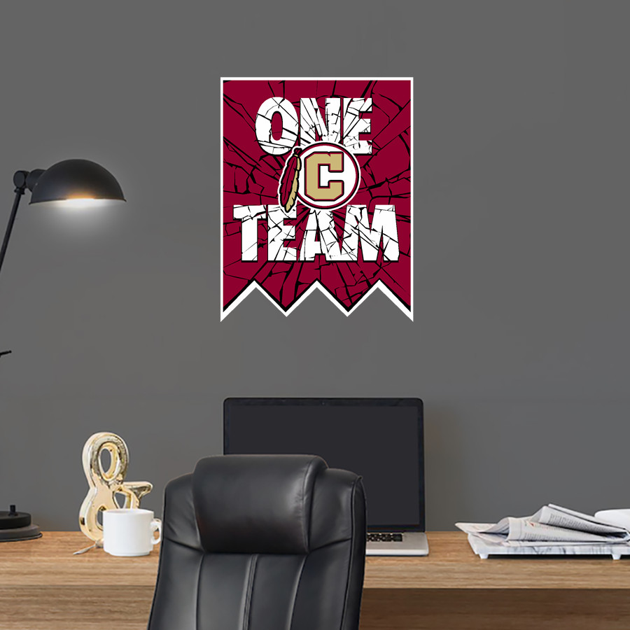 Creekside Seminoles <span class="pdp-name-mascot">Creekside Seminoles</span> Wall Decal - Shattered Banner