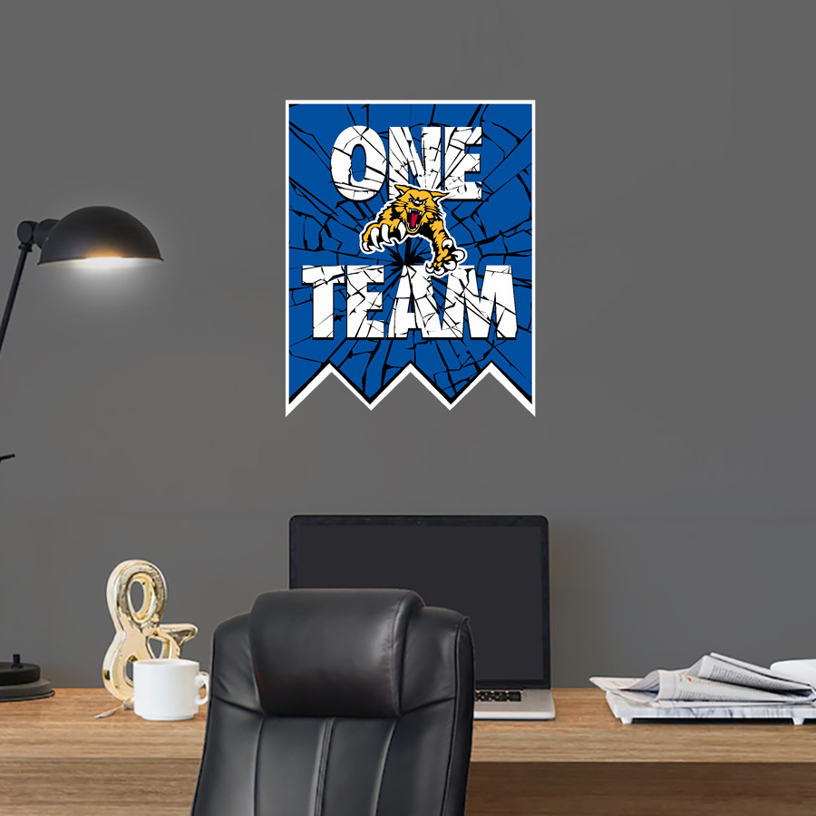 SHELBY VALLEY HIGH SCHOOL WILDCATS <span class="pdp-name-mascot">SHELBY VALLEY WILDCATS</span> Wall Decal - Shattered Banner