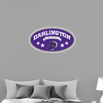 DARLINGTON HIGH SCHOOL FALCONS Wall Decal - Oval With Stars Front Thumbnail