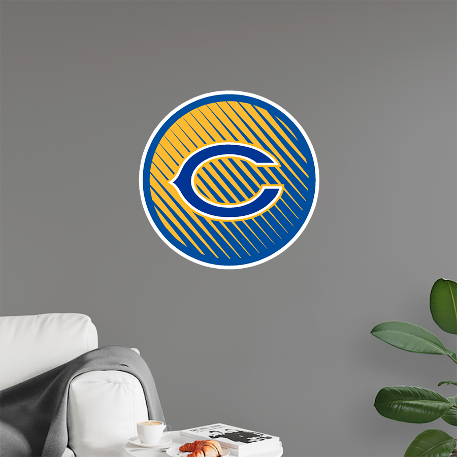 Castle Knights <span class="pdp-name-mascot">Castle Knights</span> Wall Decal - Ball With Logo
