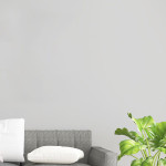 Minnetonka Skippers Wall Decal - Spirit Crest Front Thumbnail