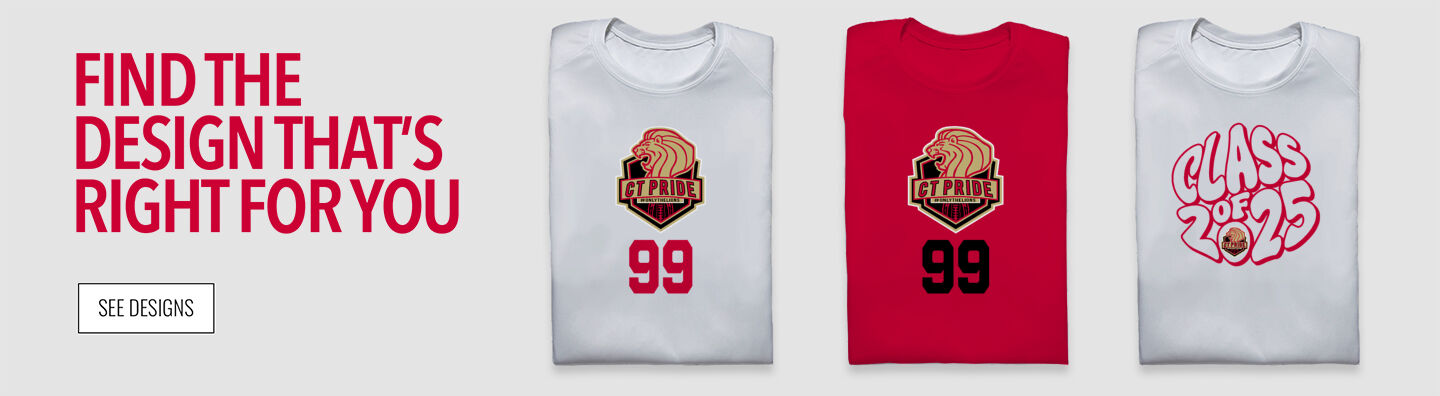 CT Pride Football Lions Find the Design That's Right For You - Single Banner