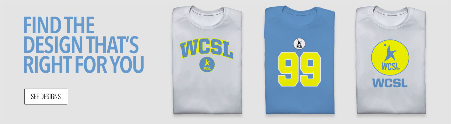 Women's Collegiate  Softball League Find the Design That's Right For You - Single Banner