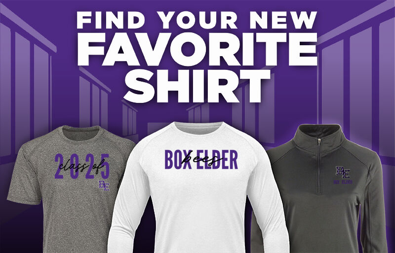 BOX ELDER HIGH SCHOOL BEES Find Your Favorite Shirt - Dual Banner