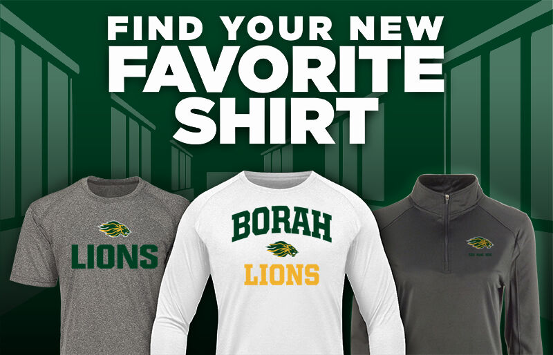 BORAH HIGH SCHOOL LIONS Find Your Favorite Shirt - Dual Banner