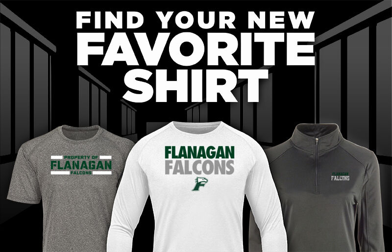 Flanagan Falcons Find Your Favorite Shirt - Dual Banner
