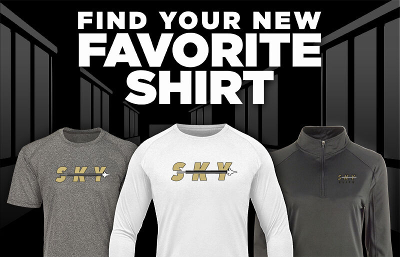 S.K.Y. Development Online Store Find Your Favorite Shirt - Dual Banner