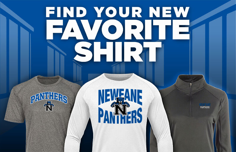 NEWFANE HIGH SCHOOL PANTHERS Find Your Favorite Shirt - Dual Banner