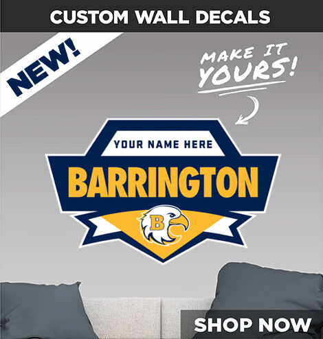 Barrington Eagles Decal Dual Banner Banner