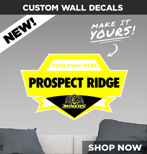 Prospect Ridge Academy The Official Online Store Decal Dual Banner Banner