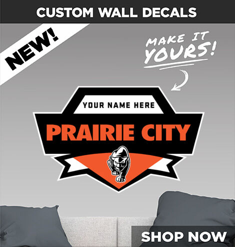 PRAIRIE CITY SCHOOL PANTHERS Decal Dual Banner Banner