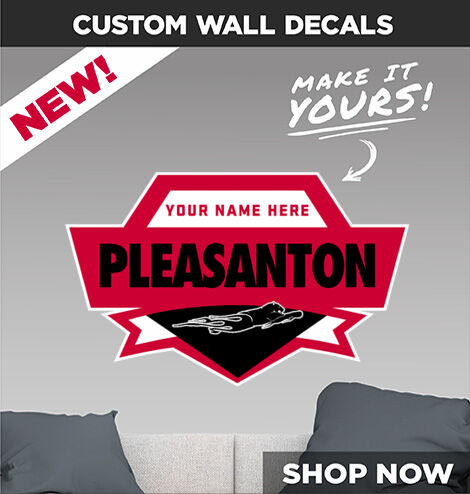 Pleasanton Middle School  Panthers Decal Dual Banner Banner