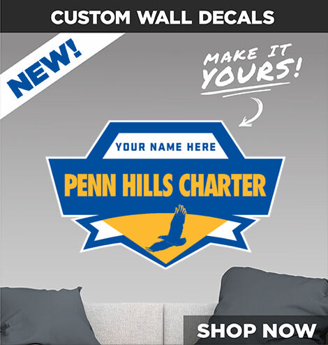 Penn Hills Charter School of Entrepreneurship Decal Dual Banner Banner