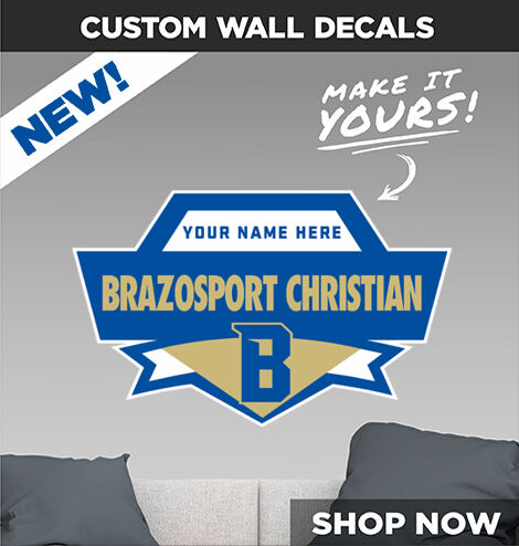 Brazosport Christian Eagles Decal Dual Banner Banner