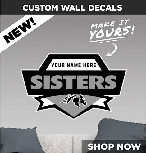 Sisters Outlaws Decal Dual Banner Banner