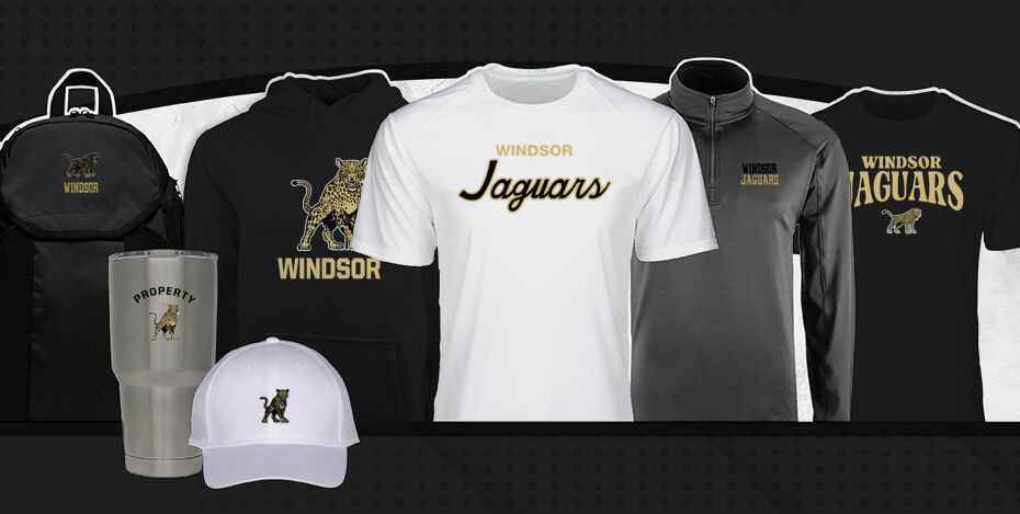 WINDSOR HIGH SCHOOL JAGUARS Primary Multi Module Banner: 2024 Q1 Banner