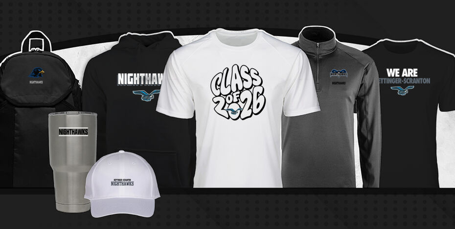 Hettinger-Scranton NIGHTHAWKS Primary Multi Module Banner: 2024 Q1 Banner