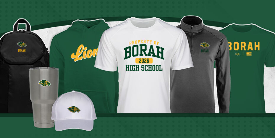 BORAH HIGH SCHOOL LIONS Primary Multi Module Banner: 2024 Q1 Banner