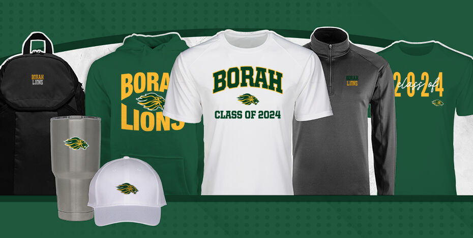 BORAH HIGH SCHOOL LIONS Primary Multi Module Banner: 2024 Q1 Banner
