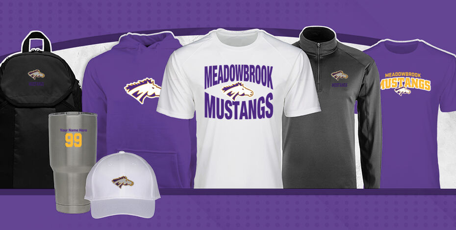 MEADOWBROOK ACADEMY MUSTANGS Primary Multi Module Banner: 2024 Q1 Banner