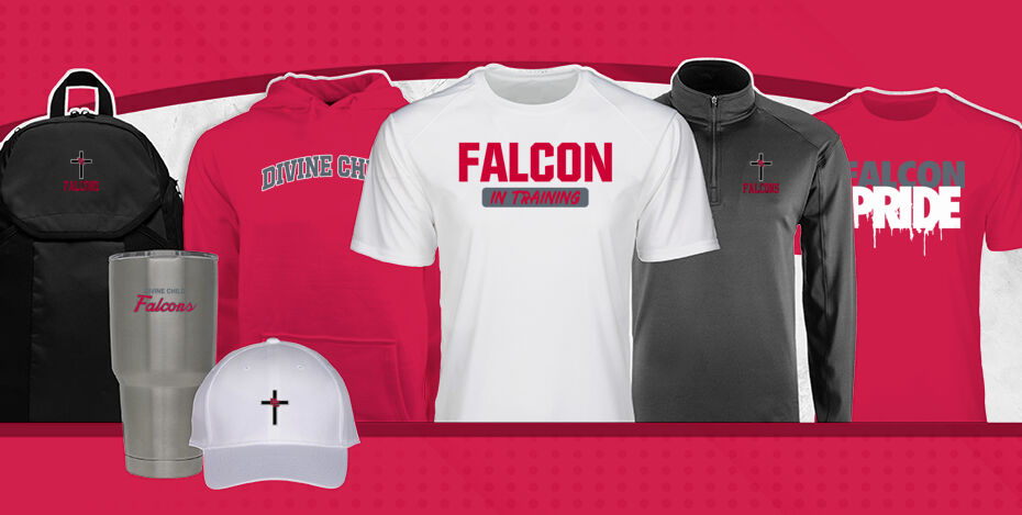 DIVINE CHILD HIGH SCHOOL FALCONS Primary Multi Module Banner: 2024 Q1 Banner