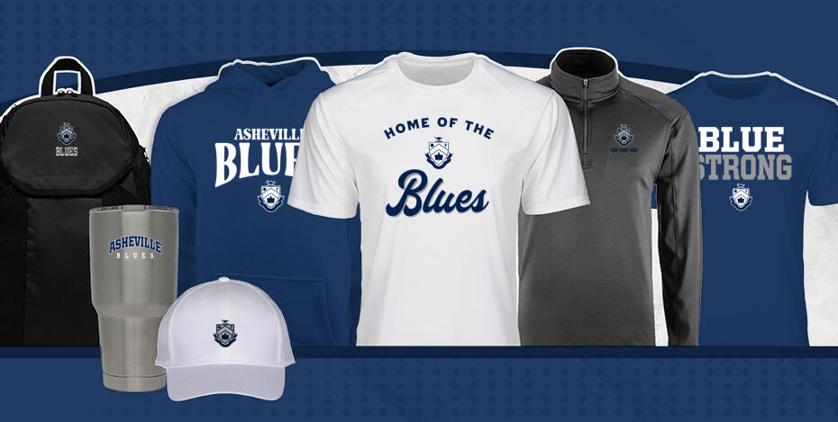 ASHEVILLE SCHOOL BLUES Primary Multi Module Banner: 2024 Q1 Banner