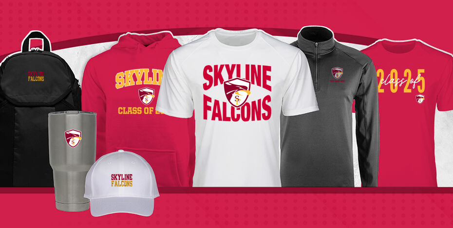 SKYLINE HIGH SCHOOL FALCONS Primary Multi Module Banner: 2024 Q1 Banner