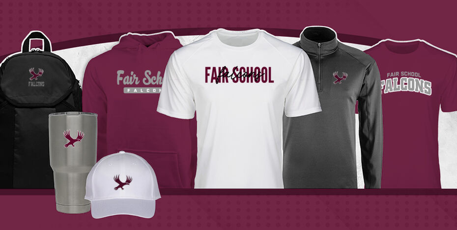 Fair School for Arts Falcons Primary Multi Module Banner: 2024 Q1 Banner