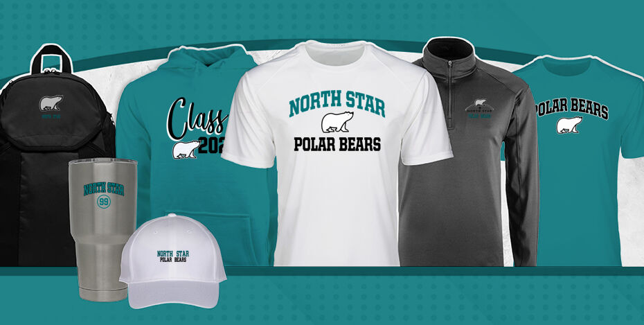 North Star  Polar Bears Primary Multi Module Banner: 2024 Q1 Banner