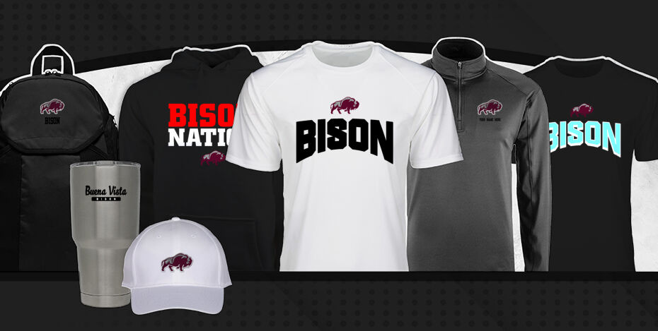 Buena Vista  Bison Primary Multi Module Banner: 2024 Q1 Banner