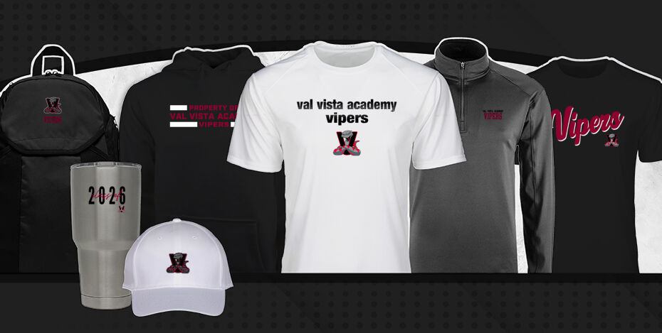 Val Vista Academy Vipers Primary Multi Module Banner: 2024 Q1 Banner