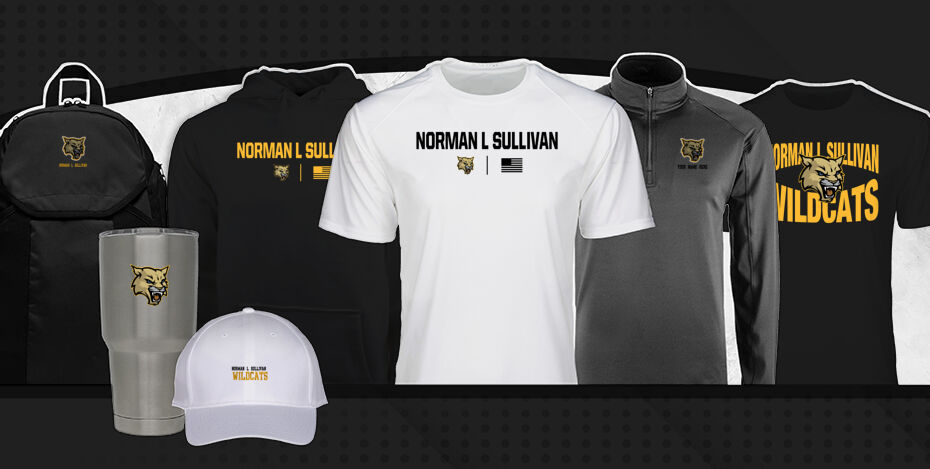 Norman L Sullivan  Wildcats Primary Multi Module Banner: 2024 Q1 Banner