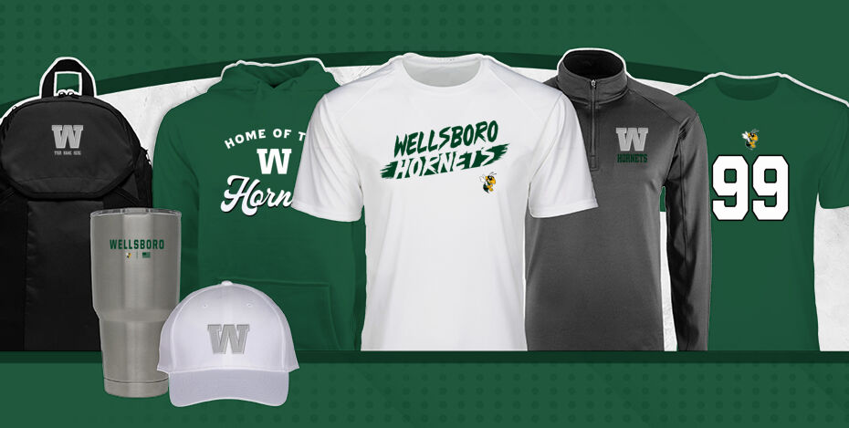 Wellsboro Hornets Primary Multi Module Banner: 2024 Q1 Banner