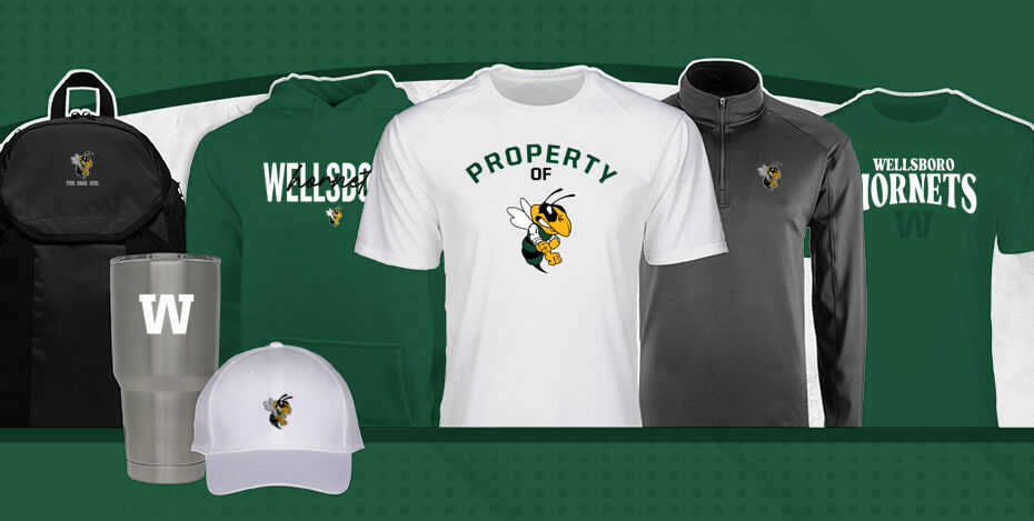 Wellsboro Hornets Primary Multi Module Banner: 2024 Q1 Banner