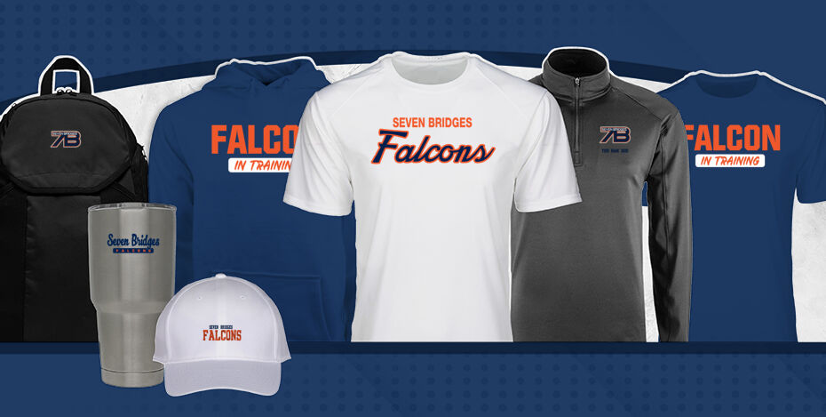 Seven Bridges  Falcons Primary Multi Module Banner: 2024 Q1 Banner