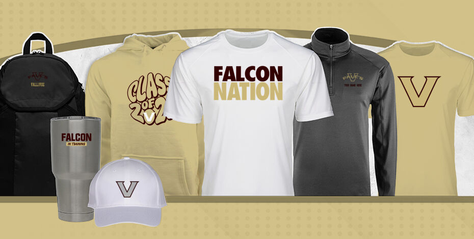 Vallivue  Falcons Primary Multi Module Banner: 2024 Q1 Banner