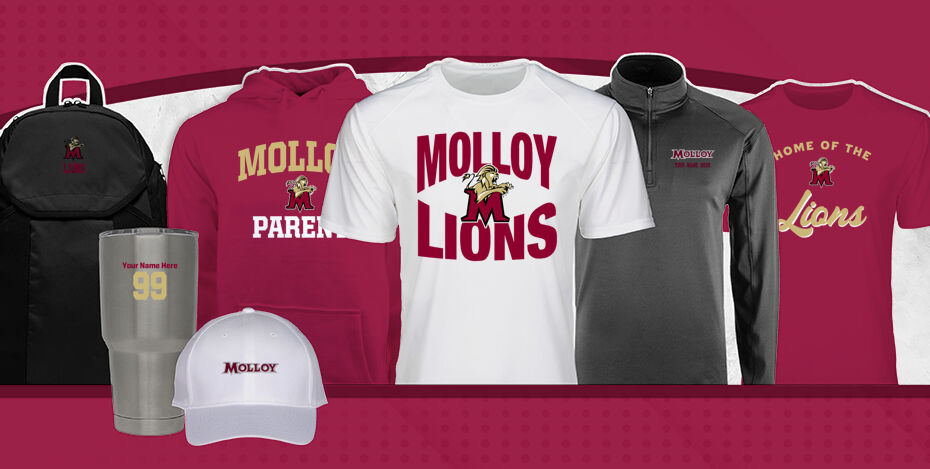Molloy  Lions Primary Multi Module Banner: 2024 Q1 Banner