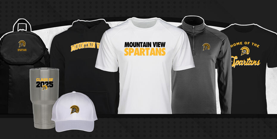MOUNTAIN VIEW HIGH SCHOOL SPARTANS Primary Multi Module Banner: 2024 Q1 Banner