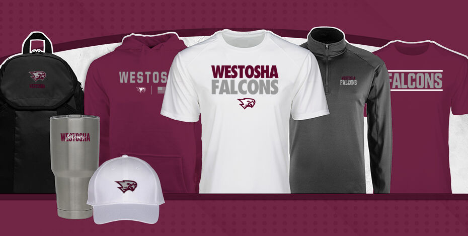 WESTOSHA CENTRAL HIGH SCHOOL FALCONS Primary Multi Module Banner: 2024 Q1 Banner