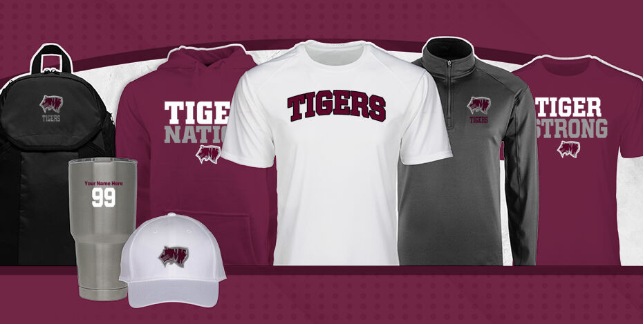CHARLES A TINDLEY ACCELERATED SCHOOL TIGERS Primary Multi Module Banner: 2024 Q1 Banner