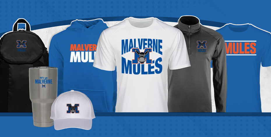 MALVERNE HIGH SCHOOL MULES Primary Multi Module Banner: 2024 Q1 Banner